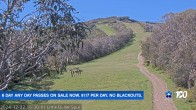 Archived image Webcam Mt Buller - Slope Little Buller Spur 15:00