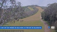 Archived image Webcam Mt Buller - Slope Little Buller Spur 11:00