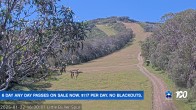 Archived image Webcam Mt Buller - Slope Little Buller Spur 15:00