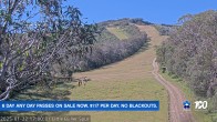 Archived image Webcam Mt Buller - Slope Little Buller Spur 16:00