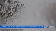 Archiv Foto Webcam Mt Buller: Abfahrt Little Buller Spur 07:00