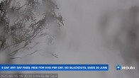 Archiv Foto Webcam Mt Buller: Abfahrt Little Buller Spur 13:00