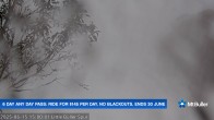 Archiv Foto Webcam Mt Buller: Abfahrt Little Buller Spur 14:00