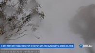 Archived image Webcam Mt Buller - Slope Little Buller Spur 07:00