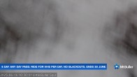 Archived image Webcam Mt Buller - Slope Little Buller Spur 09:00