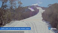 Archived image Webcam Mt Buller - Slope Little Buller Spur 11:00