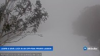 Archived image Webcam Mt Buller - Slope Little Buller Spur 11:00