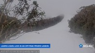 Archived image Webcam Mt Buller - Slope Little Buller Spur 13:00