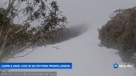 Archived image Webcam Mt Buller - Slope Little Buller Spur 14:00