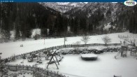 Archiv Foto Webcam Gernalm bei Pertisau 09:00