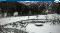 Archived image Webcam Gernalm close to Pertisau 13:00