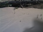 Archiv Foto Webcam Feldberg: Sesselbahn Seebuck 11:00