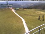 Archived image Webcam Seebuck 11:00