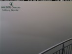 Archived image Webcam Seebuck 09:00
