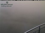 Archived image Webcam Seebuck 07:00