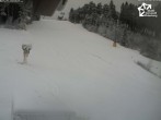 Archiv Foto Webcam Winterberg: QuickJet Talstation 11:00