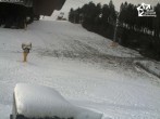 Archiv Foto Webcam Winterberg: QuickJet Talstation 11:00