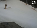 Archiv Foto Webcam Winterberg: QuickJet Talstation 07:00