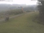 Archiv Foto Webcam Winterberg: Sesselbahn Sürenberg 13:00
