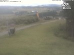 Archived image Webcam Winterberg Ski Resort: At the top of &#39;Sürenberg&#39; 11:00