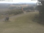 Archiv Foto Webcam Winterberg: Sesselbahn Sürenberg 09:00