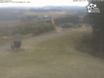 Archiv Foto Webcam Winterberg: Sesselbahn Sürenberg 11:00