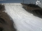 Archived image Webcam Winterberg: Magic carpet `Käppchen` 09:00