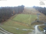 Archived image Webcam Slalom run at Winterberg 09:00