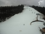 Archiv Foto Webcam Winterberg: Slalomhang im Skiliftkarussel 09:00