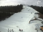 Archiv Foto Webcam Winterberg: Slalomhang im Skiliftkarussel 11:00