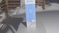 Archiv Foto Webcam Snow Stake Vail 23:00