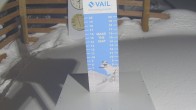 Archiv Foto Webcam Snow Stake Vail 00:00