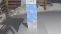 Archiv Foto Webcam Snow Stake Vail 02:00