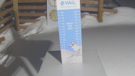 Archiv Foto Webcam Snow Stake Vail 20:00