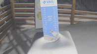 Archived image Webcam Vail: View Snow Stake 23:00