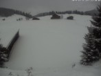 Archiv Foto Webcam Golfhaus Arosa 12:00