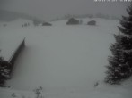 Archiv Foto Webcam Golfhaus Arosa 14:00