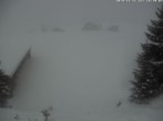 Archiv Foto Webcam Golfhaus Arosa 15:00