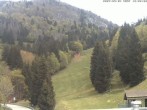 Archived image Webcam Rothaus slope 11:00