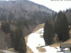 Archiv Foto Webcam Feldberg: Rothaus Abfahrt 11:00