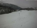 Archiv Foto Webcam Flims - Rens, Graubünden 11:00