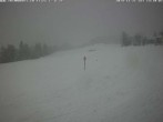 Archiv Foto Webcam Flims - Rens, Graubünden 13:00