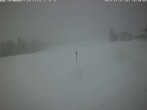 Archiv Foto Webcam Flims - Rens, Graubünden 15:00