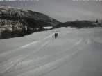 Archiv Foto Webcam Flims - Rens, Graubünden 11:00