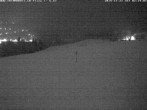 Archived image Webcam Flims - Rens, Grisons 01:00