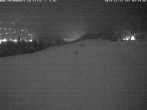 Archived image Webcam Flims - Rens, Grisons 03:00