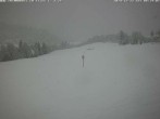 Archived image Webcam Flims - Rens, Grisons 07:00