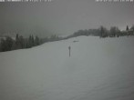 Archived image Webcam Flims - Rens, Grisons 13:00