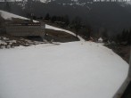 Archived image Webcam Innerwengen: finish area of Lauberhornrace 15:00