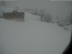 Archived image Webcam Innerwengen: finish area of Lauberhornrace 06:00